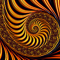 Beautiful golden fractal spiral artwork 