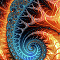 Colorful luxe fractal spiral turquoise brown orange